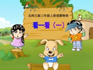 北师大版三年级观察物体看一看(一)