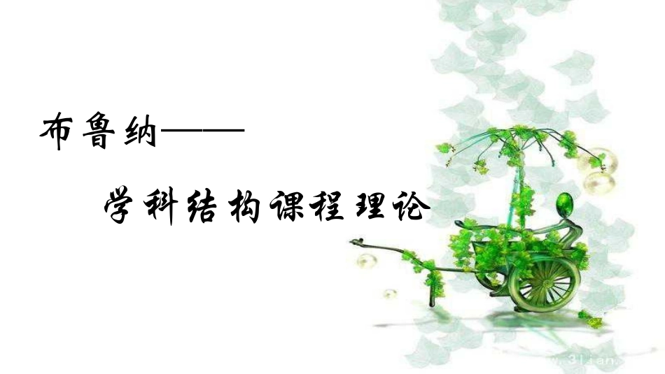 布鲁纳学科结构课程理论_第1页