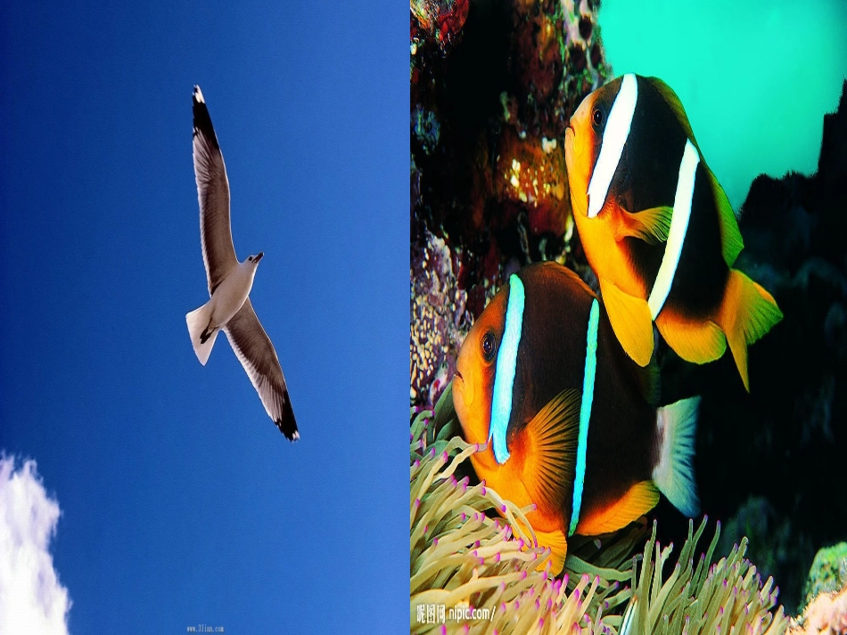 《找准自己的位置》课件_第2页