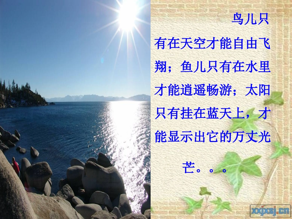 《找准自己的位置》课件_第3页