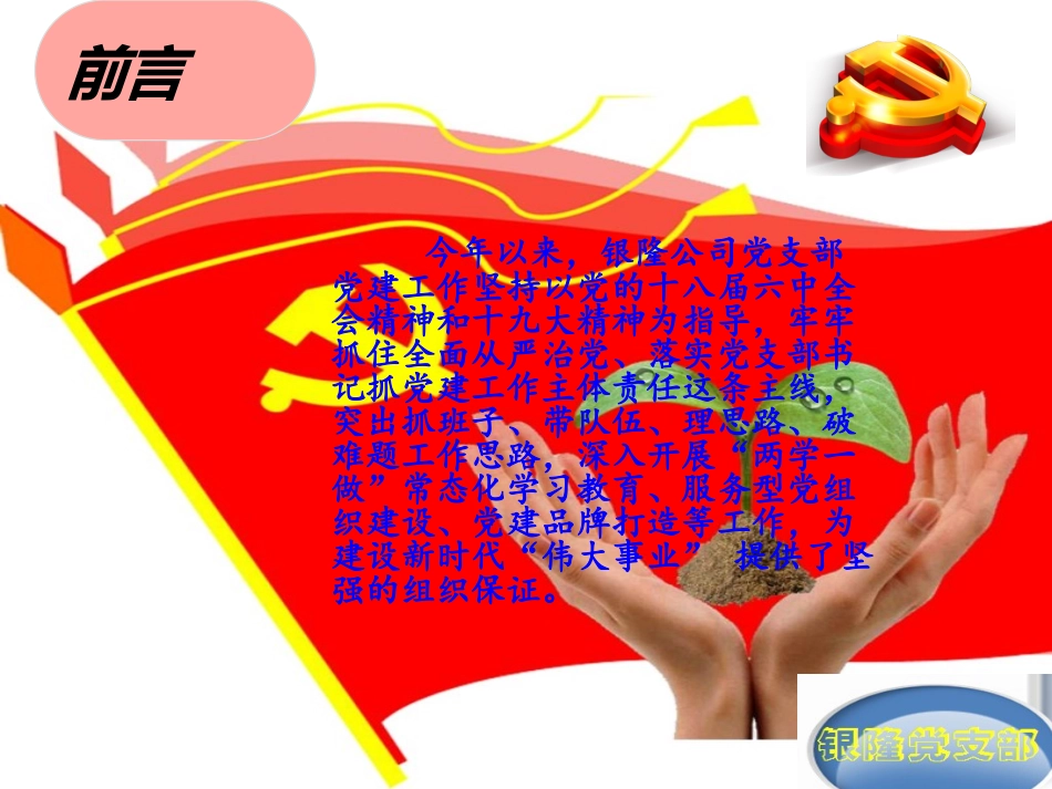 XXX党支部特色品牌党支部申报材料_第3页