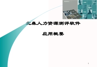 北森人力资源测评系统