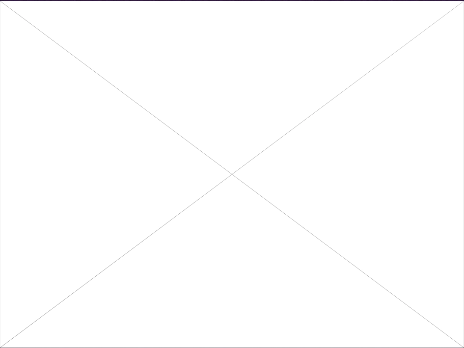 S版小学四年级上册语文满山的灯笼火把_第3页