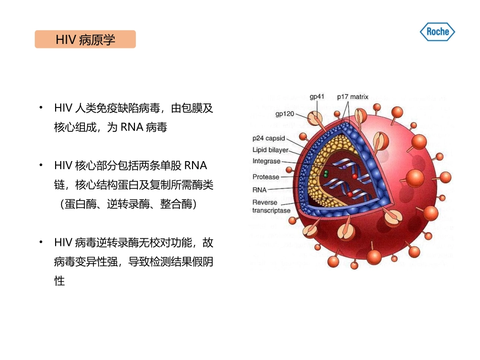 HIV实验室检测_第3页