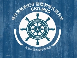 CKD-MBD慢性肾脏病矿物质及骨代谢异常