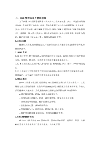 HSE管理体系与管理措施..