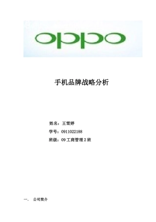 Oppo手机品牌战略分析