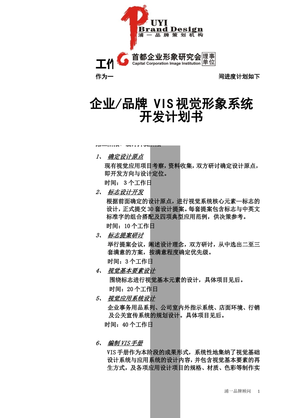 VI开发计划书(大型)_第1页