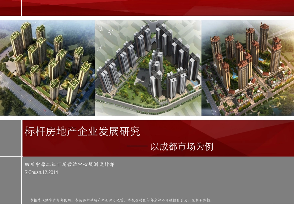 标杆房地产企业发展研究_第1页