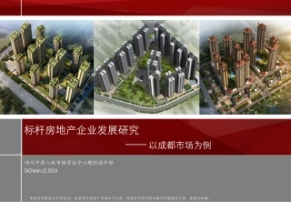标杆房地产企业发展研究