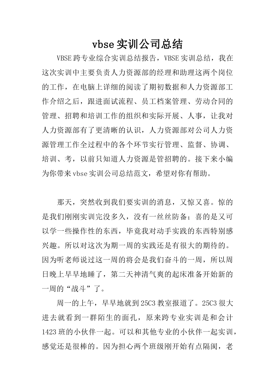 vbse实训公司总结_第1页