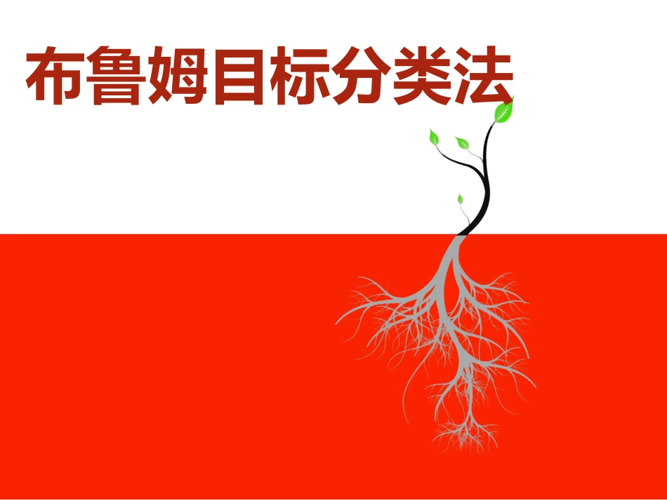 布鲁姆目标分类_第1页