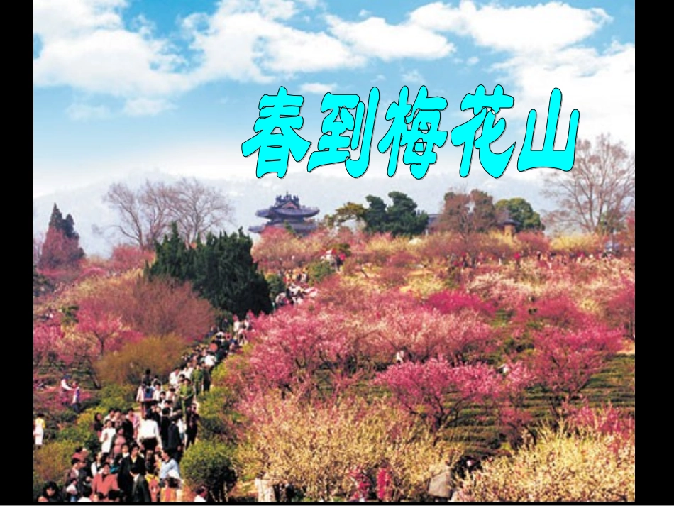 《春到梅花山》fifi__第1页