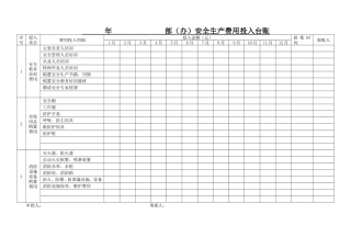 安全生产费用投入台账(模版)
