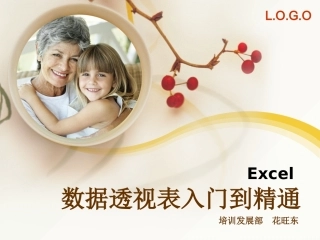 Excel数据透视表入门到精通