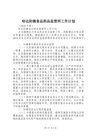 哈达阳镇食品药品监管所工作计划