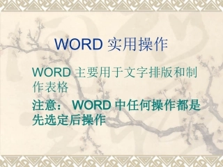 WORD文字排版