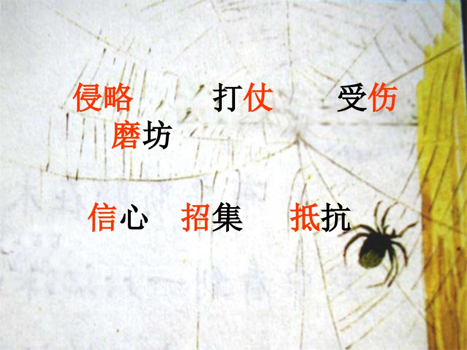 苏教版三上《第八次》PPT_第3页