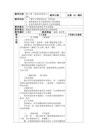 ）袋鼠妈妈的口袋