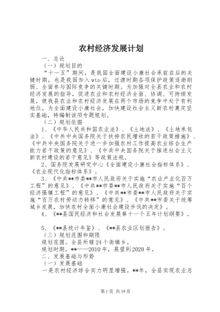 农村经济发展计划