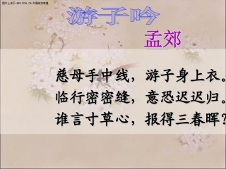慈母情深（讲课用