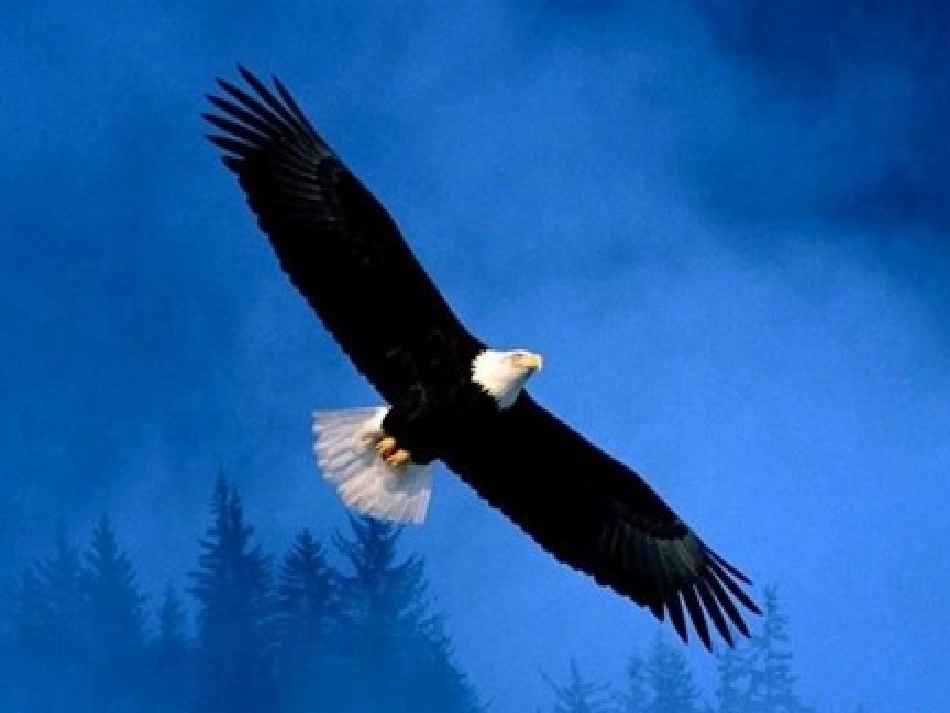 第六节__原来是相互关联的_第3页