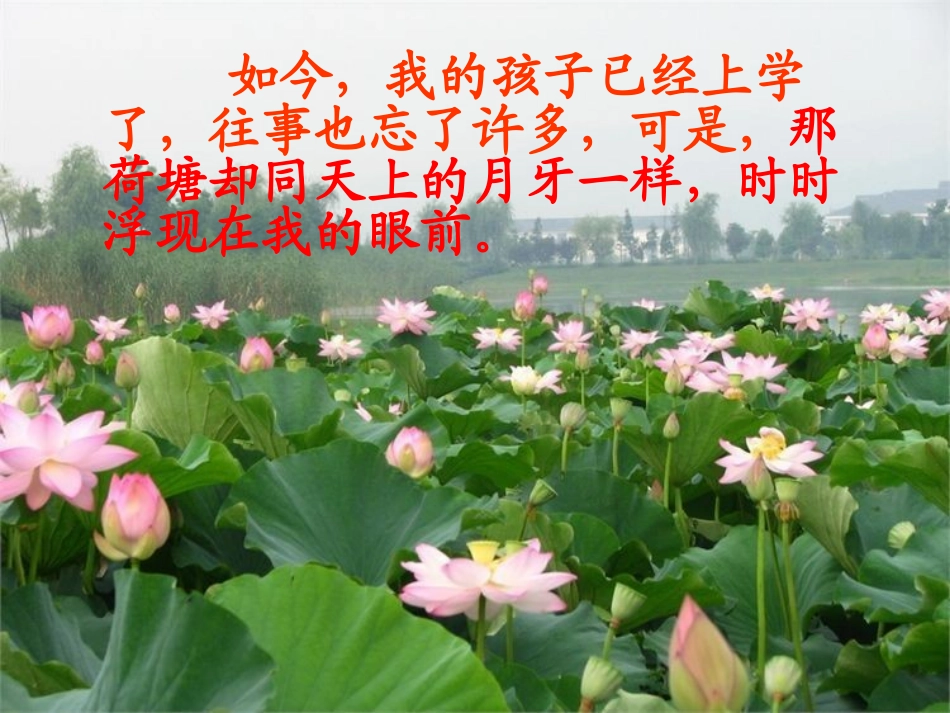 荷塘旧事（定稿_第3页