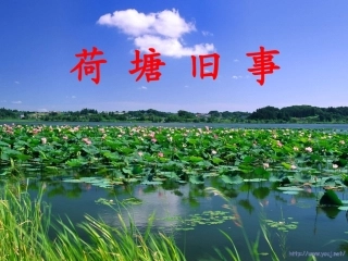 荷塘旧事（定稿