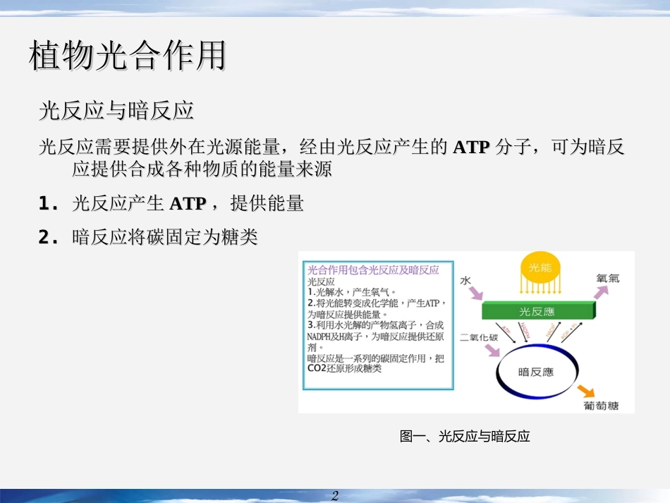 补光农业照明解决方案_第2页