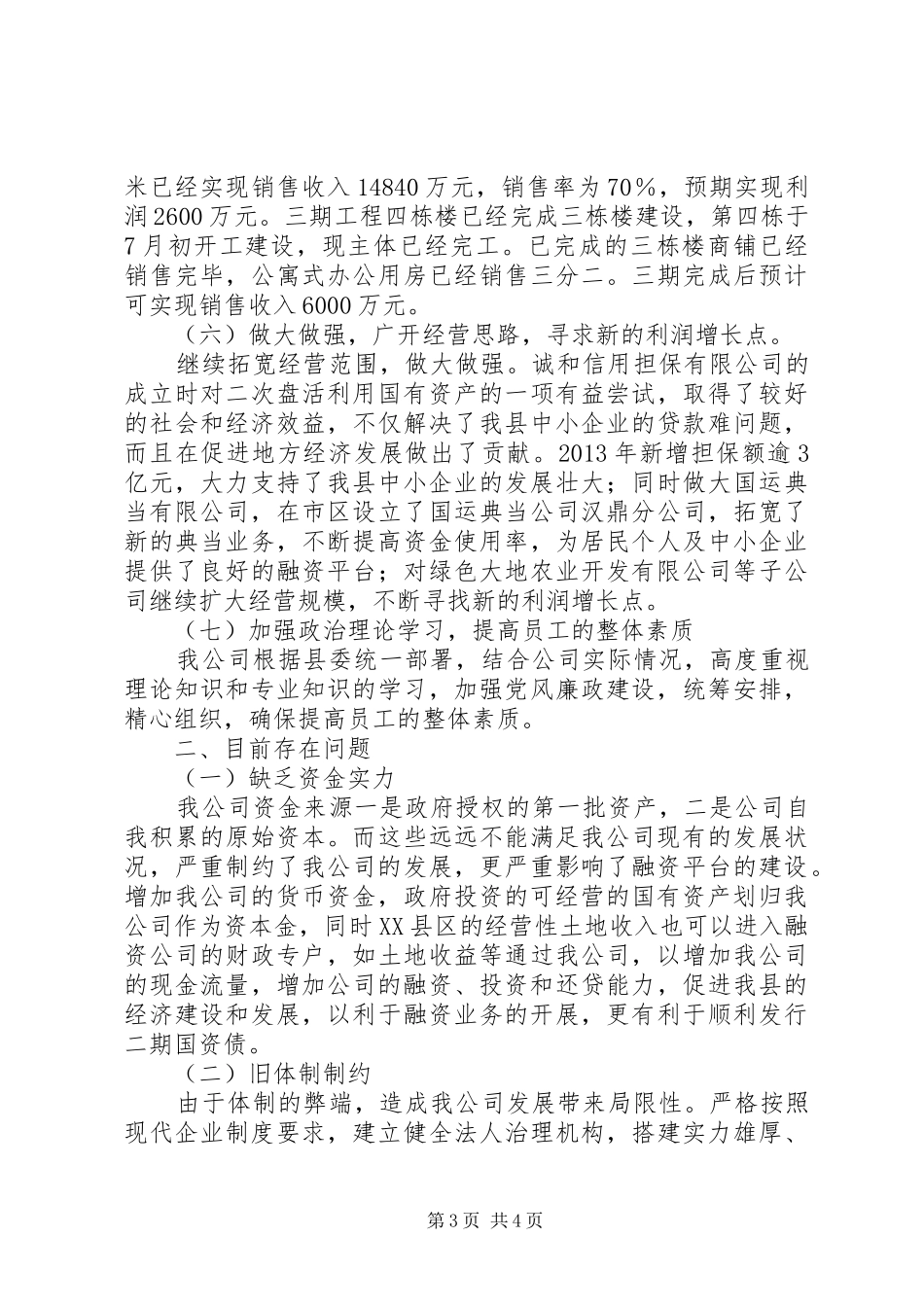 国资公司工作总结及工作计划_第3页