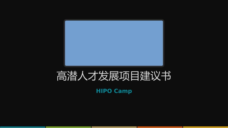 HIPO高潜人才发展项目计划书_第1页