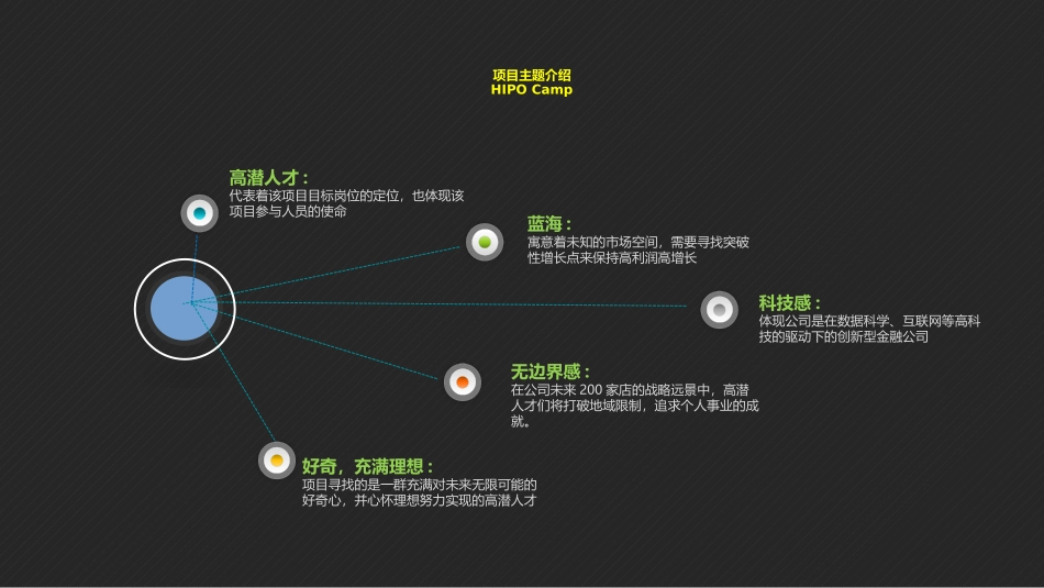 HIPO高潜人才发展项目计划书_第3页