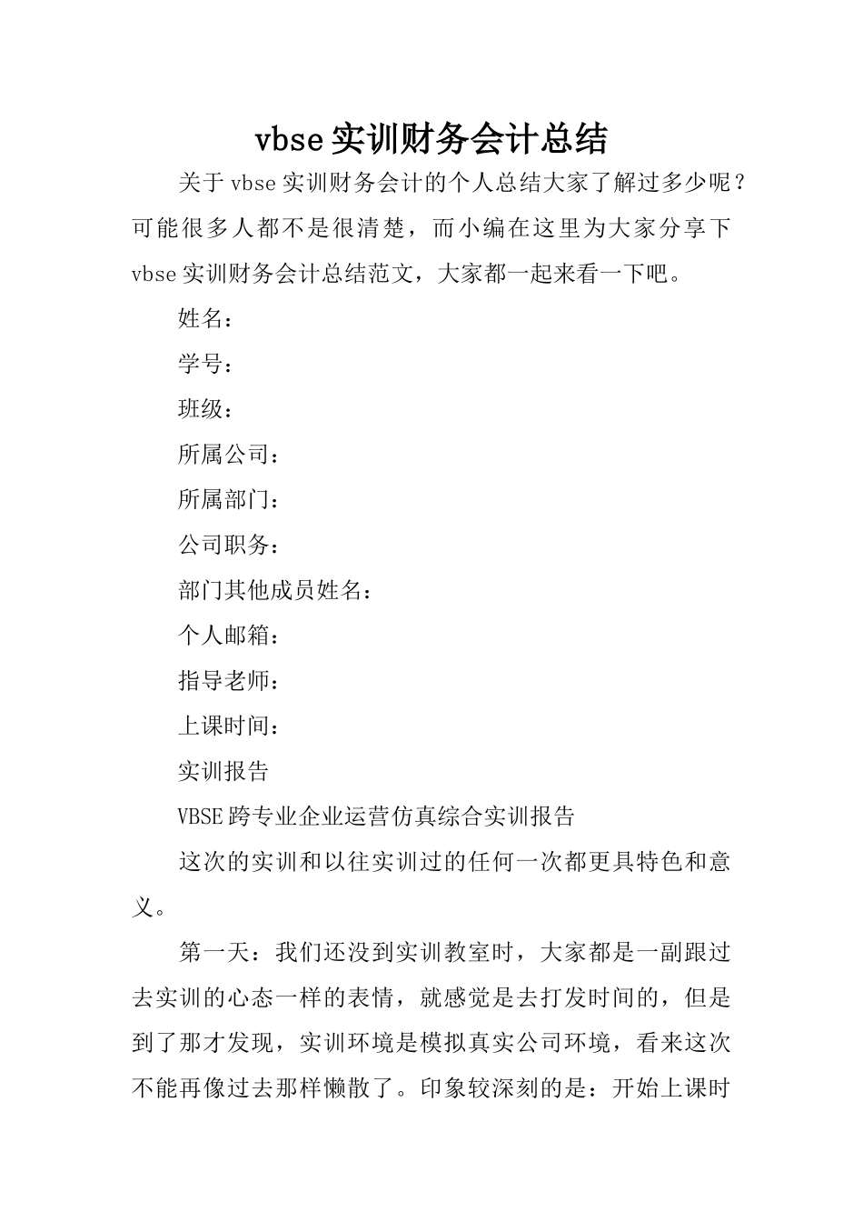 vbse实训财务会计总结_第1页
