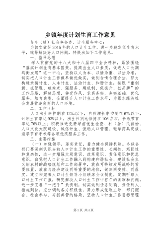 乡镇年度计划生育工作意见