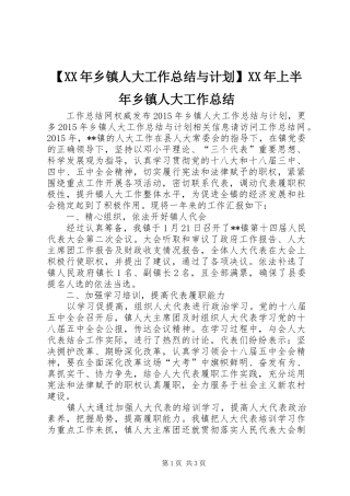 【XX年乡镇人大工作总结与计划】XX年上半年乡镇人大工作总结