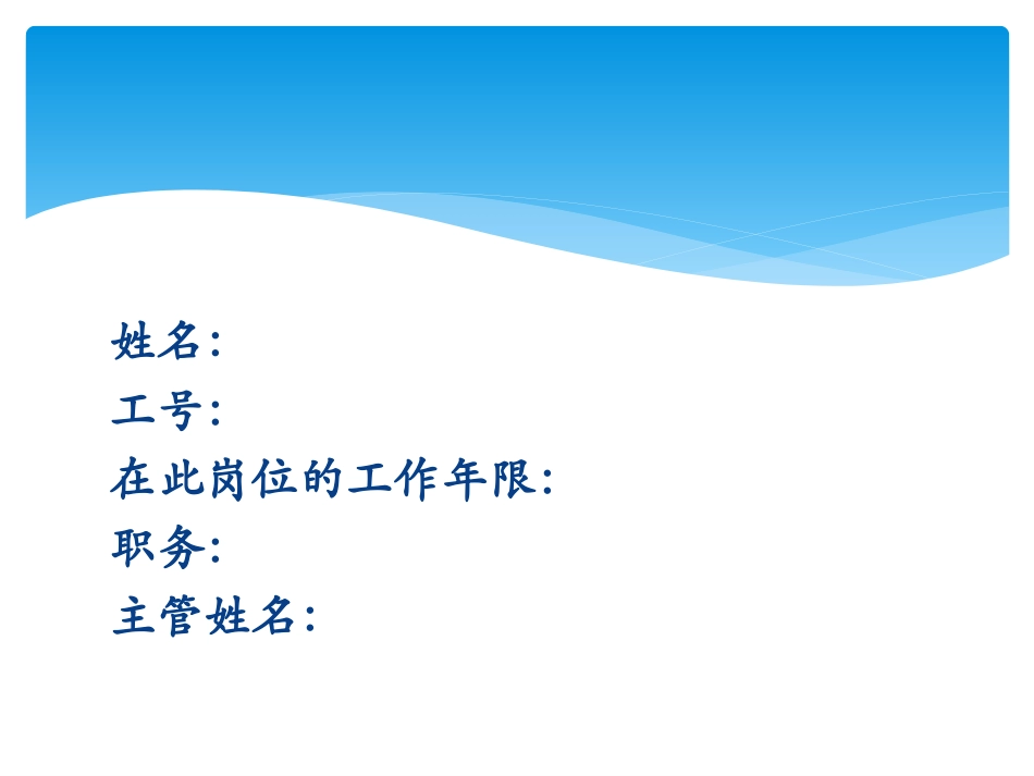 IE工程师绩效评价._第2页