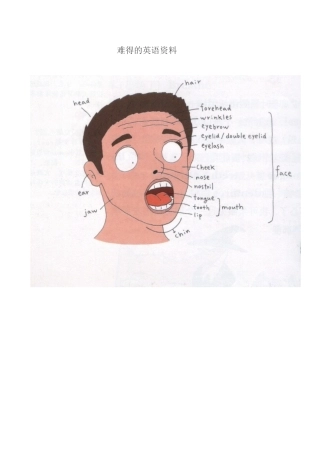 难得的英语资料