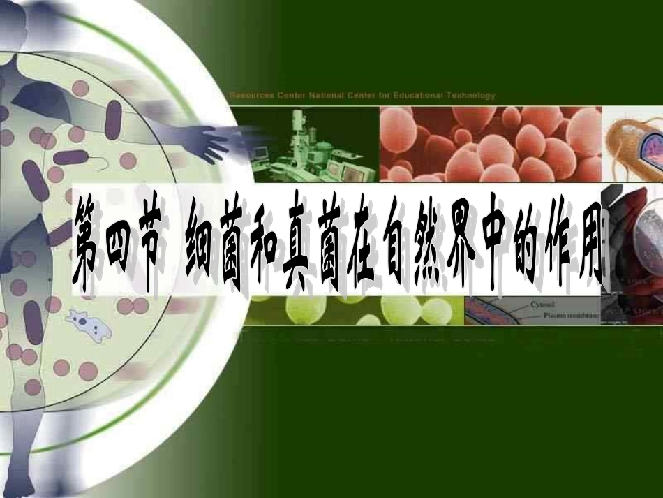 第四节细菌和真菌在自然界中的作用_第3页