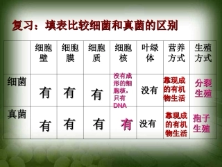 第四节细菌和真菌在自然界中的作用