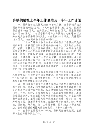 乡镇供销社上半年工作总结及下半年工作计划