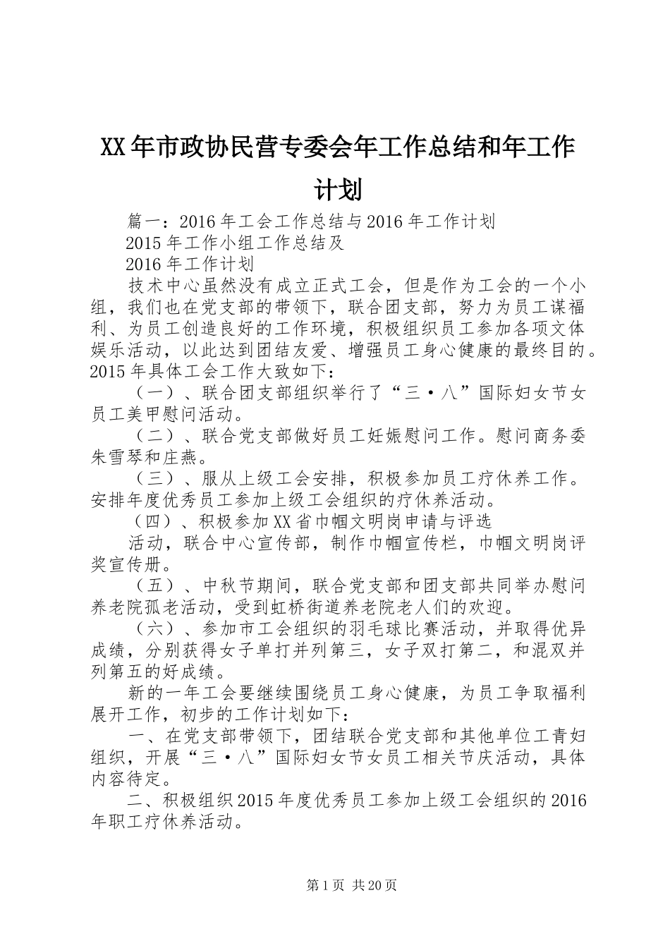 XX年市政协民营专委会年工作总结和年工作计划_第1页