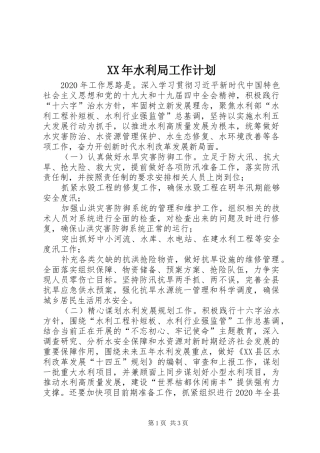 XX年水利局工作计划