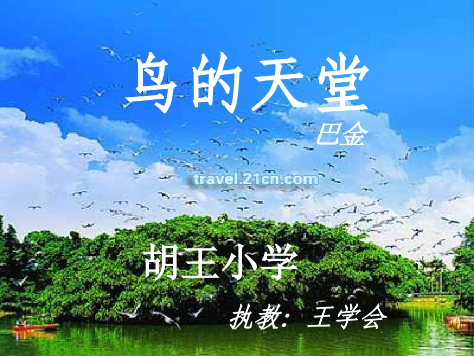 《鸟的天堂》_第1页