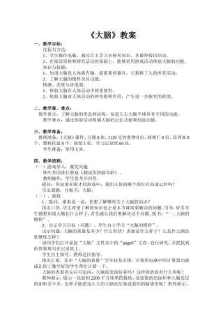 《大脑》教案