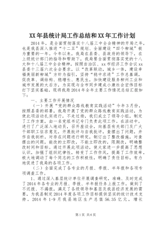 XX年县统计局工作总结和XX年工作计划