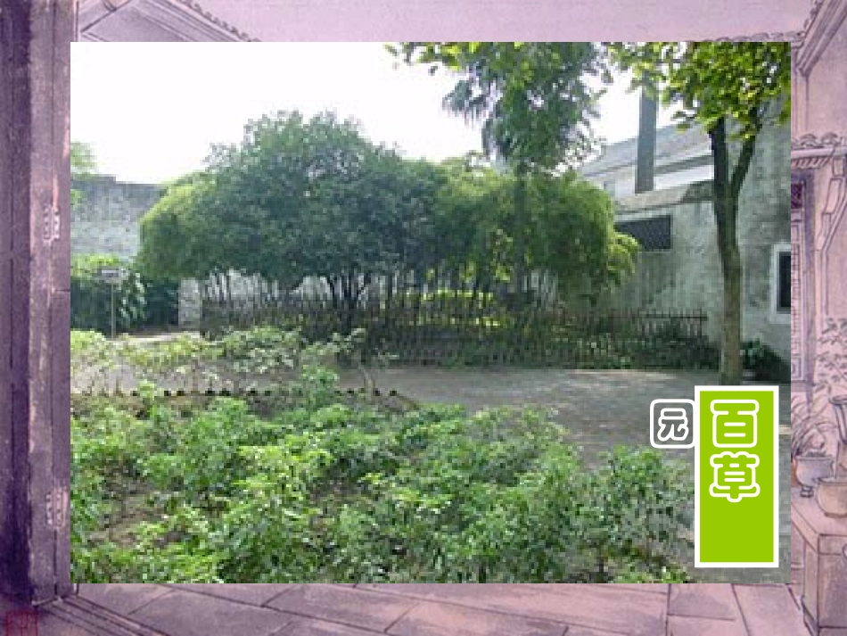 走近鲁迅_课件(PPT)_第2页