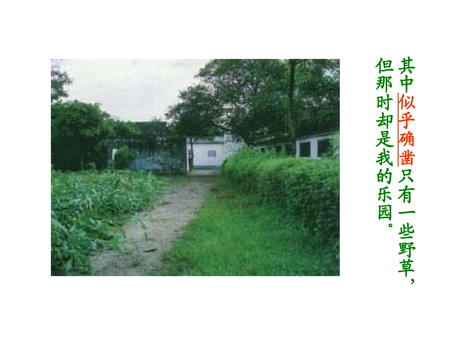 走近鲁迅_课件(PPT)_第3页