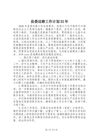 县委巡察工作计划XX年