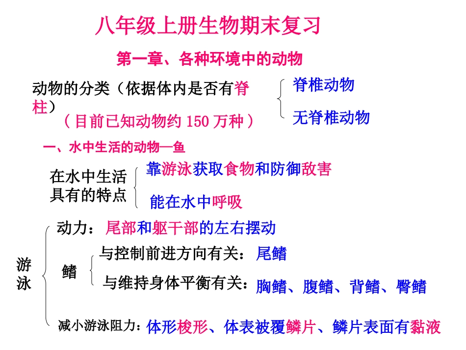生物科八年级上册复习课件（全_第1页