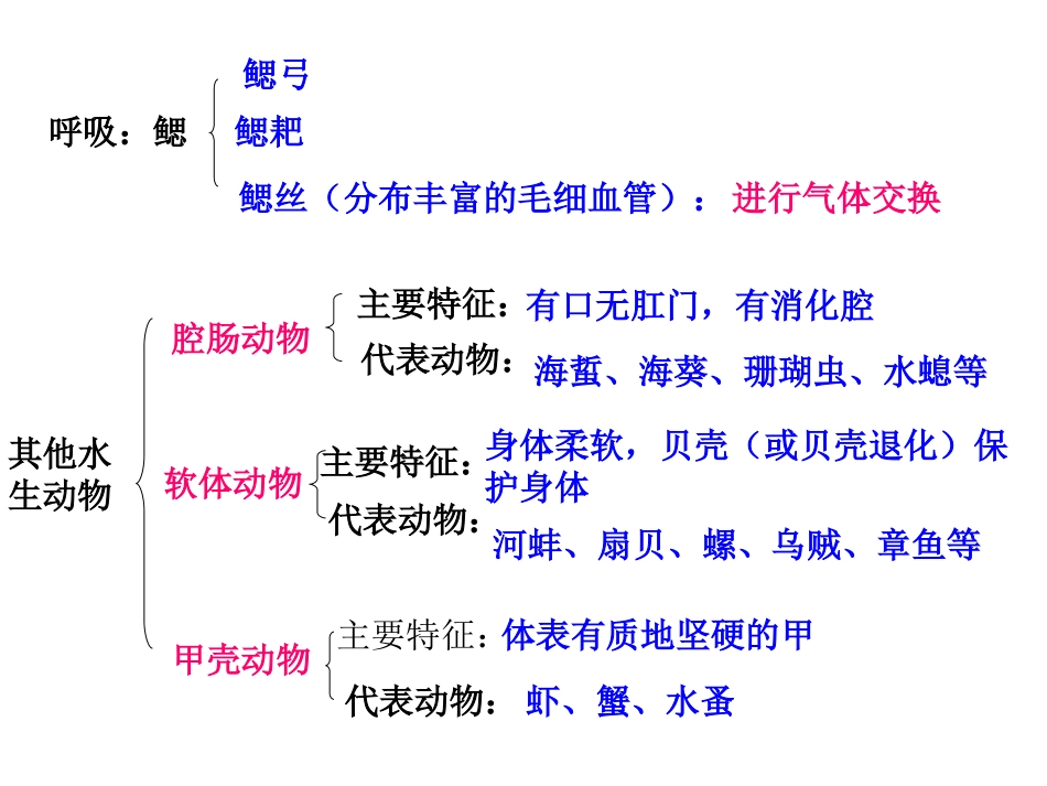 生物科八年级上册复习课件（全_第2页